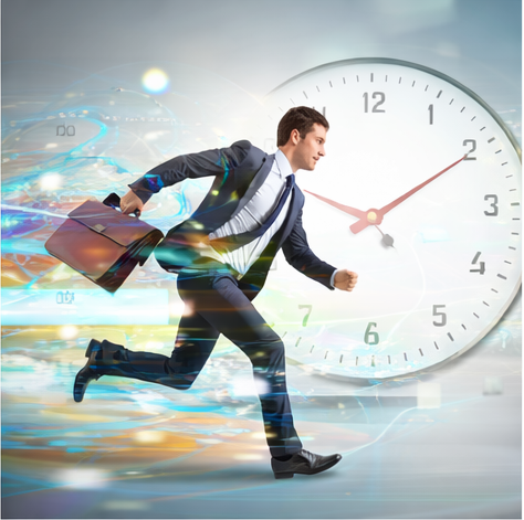 Traduzioni rapide 24H